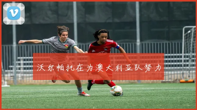 沃尔帕托在为澳大利亚队努力