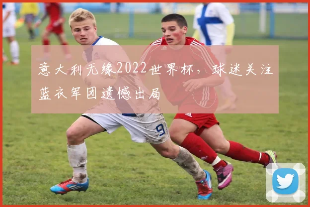 意大利无缘2022世界杯,球迷关注蓝衣军团遗憾出局