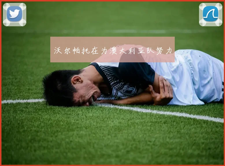 沃尔帕托在为澳大利亚队努力